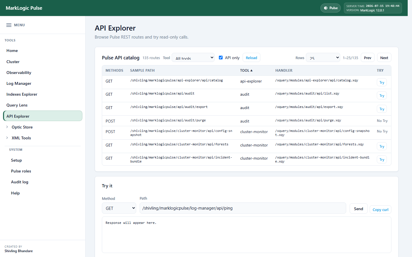 API Explorer in MarkLogic Pulse