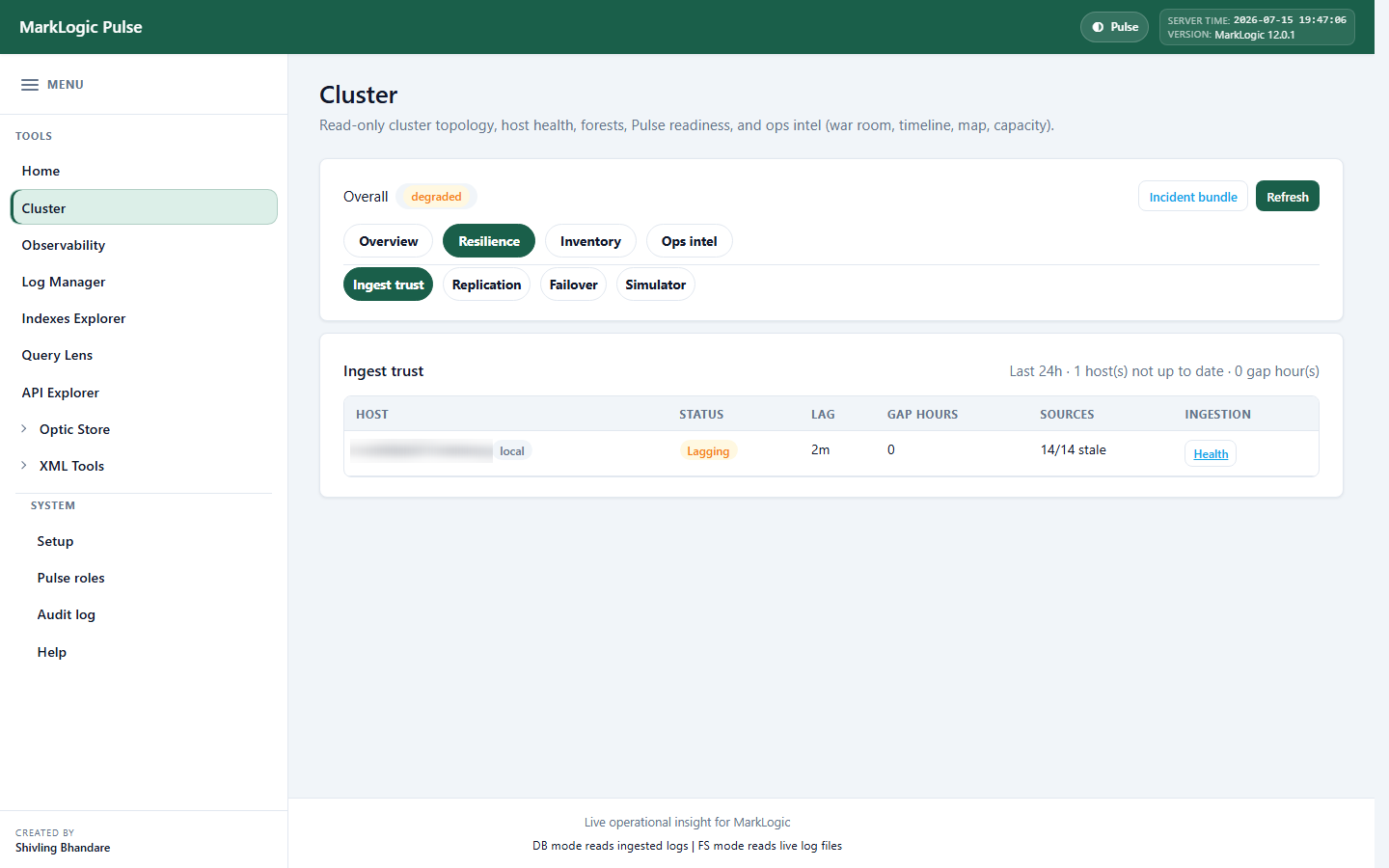 Cluster Monitor: Resilience