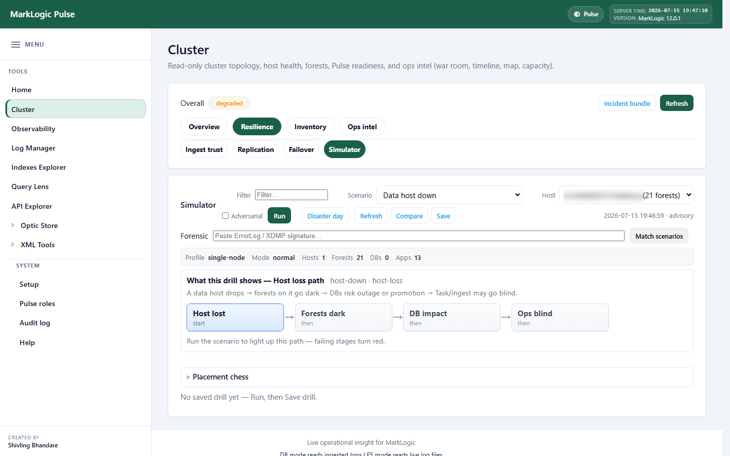 Cluster Monitor: Simulator