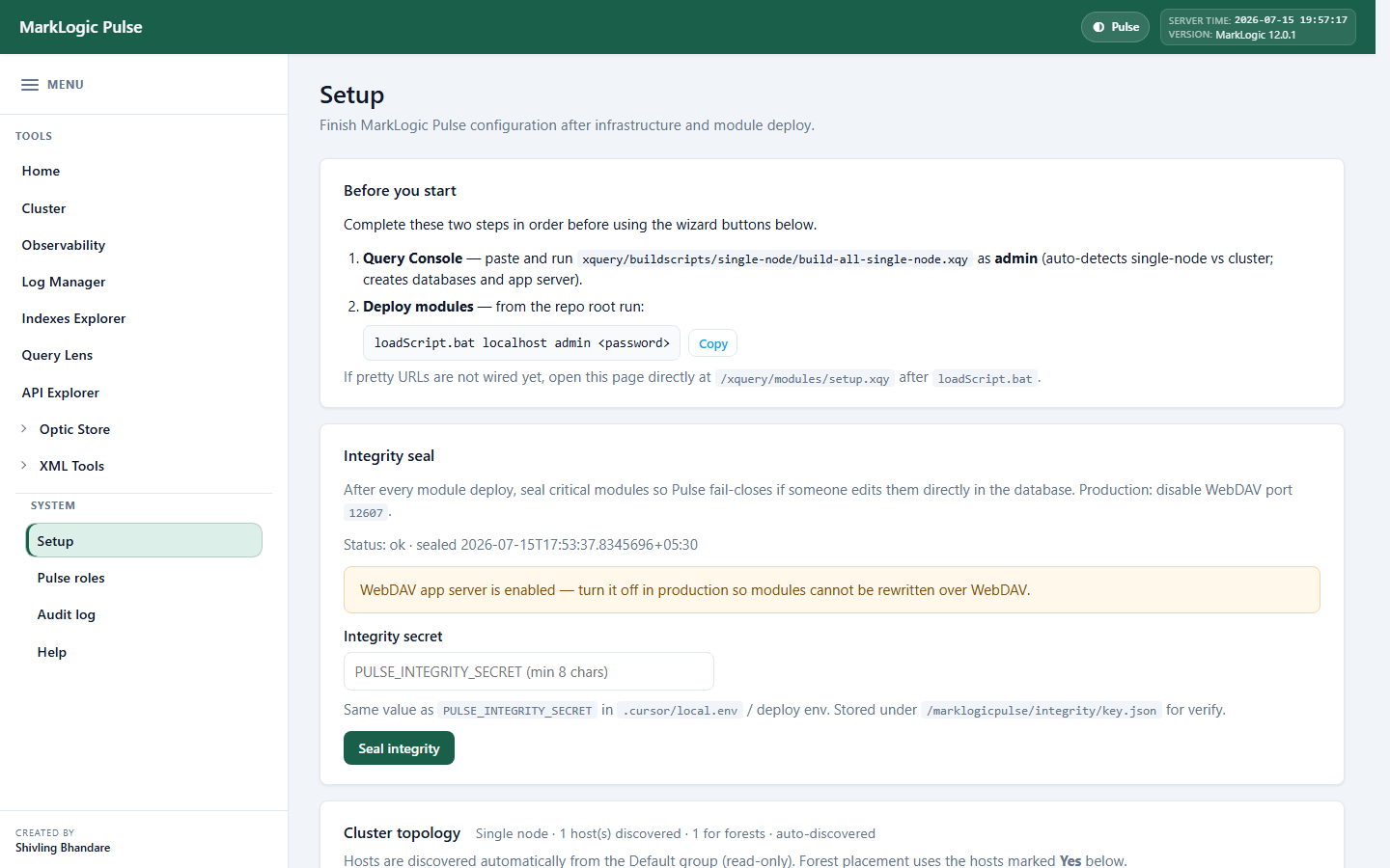 Setup in MarkLogic Pulse
