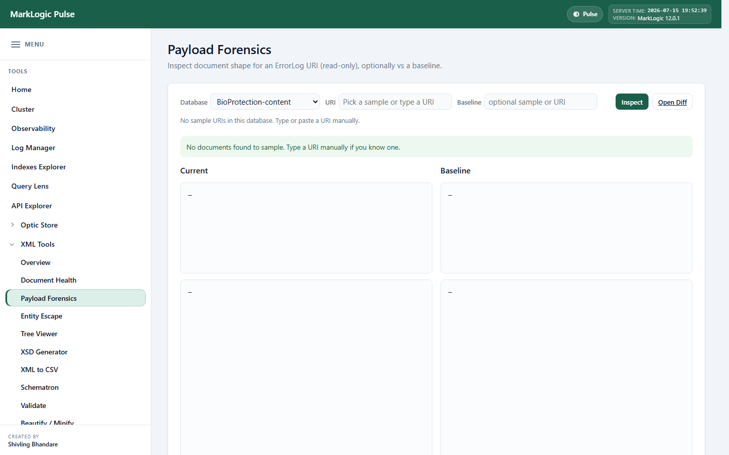 Payload Forensics